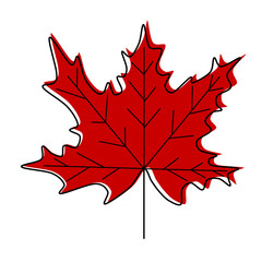 Red maple leaf raster drawing