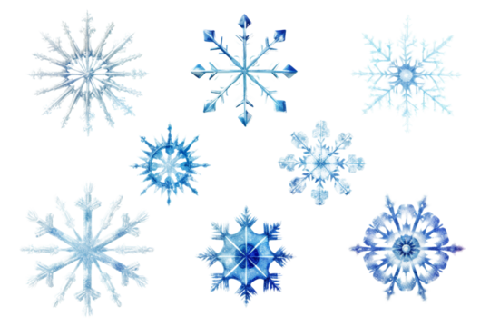Array of cold snowflake elements in different styles Isolated on white background
