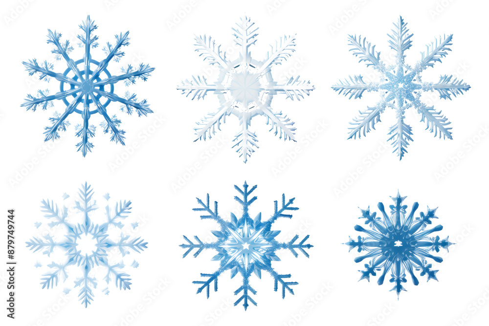 Poster Assorted snowflake designs with detailed structures Isolated on white backgroun