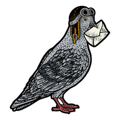 Obraz premium Homing Carrier pigeon with letter and old pilot helmet color sketch engraving PNG illustration. T-shirt apparel print design. Scratch board imitation. Black and white hand drawn image.