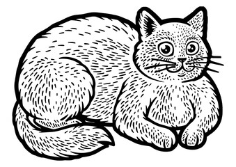 Fat cat sketch engraving PNG illustration. T-shirt apparel print design. Scratch board imitation. Black and white hand drawn image.