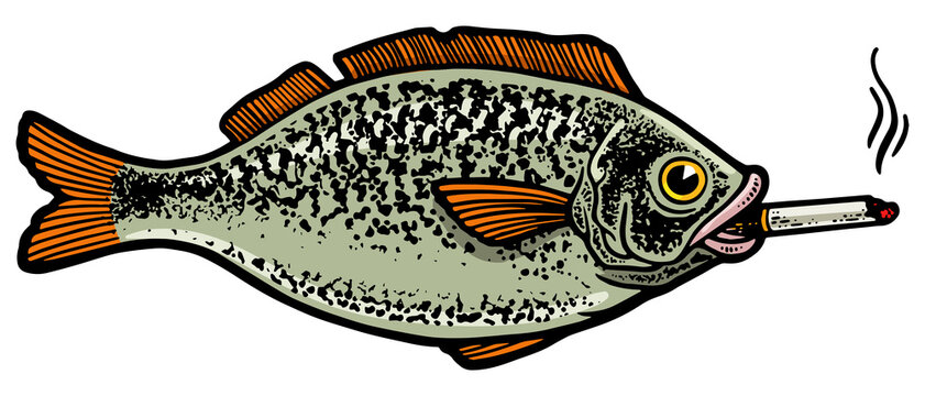 recommend clip art: fish smokes cigarette color sketch engraving PNG illustration. T-shirt apparel print design. Scratch board imitation. Black and white hand drawn image.