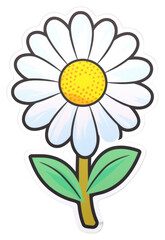 PNG Daisy flower plant white.
