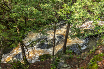 Looking at rapids and rocks from above in a forest. 