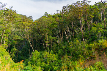 The natural landscape.
On the way to Dalat in Vietnam.  