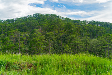 The natural landscape.
On the way to Dalat in Vietnam.  