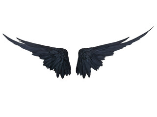 Obraz premium angel wings isolated on white background