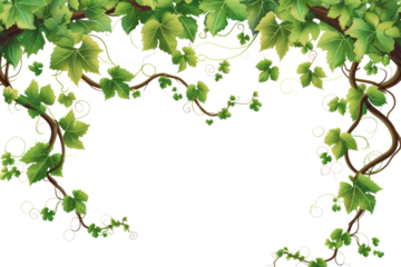 PNG Vines backgrounds pattern plant.