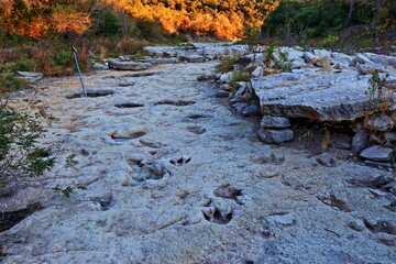Naklejka premium Fossilized dinosaur tracks line the dry Paluxy Riverbed in the Dinosaur Valley State Park near Glen Rose, Texas