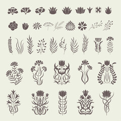 Abstract flowers. Decorative botanical illustrations for logo recent vector nature floral illustrations