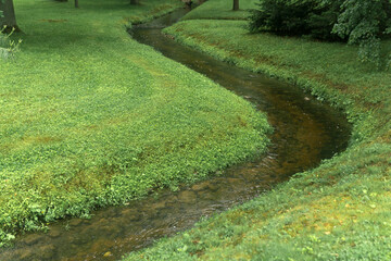 Obraz premium stream in drainage channel in the park, which flows through the grass