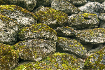 Stone wall covered with green moss and lichen. Natural background.