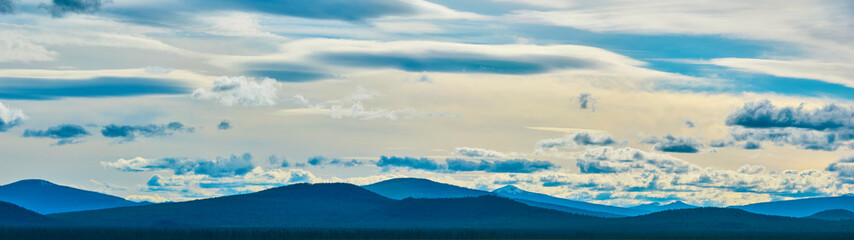 Aerial Panorama of Mountain Range with Coniferous Forest