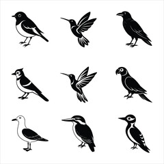 Set of Nine Bird Silhouette Vector Illustrations Bundle