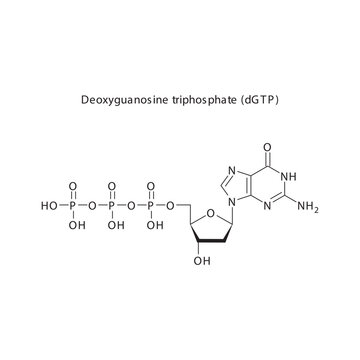 Deoxyguanosine triphosphate (dGTP) skeletal structure schematic illustration, Nucleoside molecule.