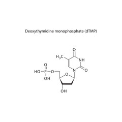 Deoxythymidine diphosphate (dTDP) skeletal structure schematic illustration, Nucleoside molecule.