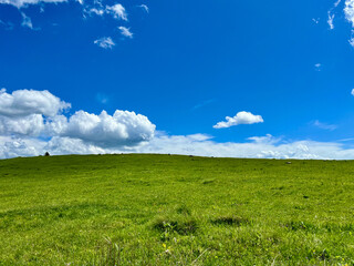 green field and blue sky windows wallpaper windows 97