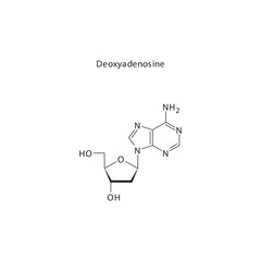 Deoxyadenosine skeletal structure schematic illustration, Nucleoside molecule.