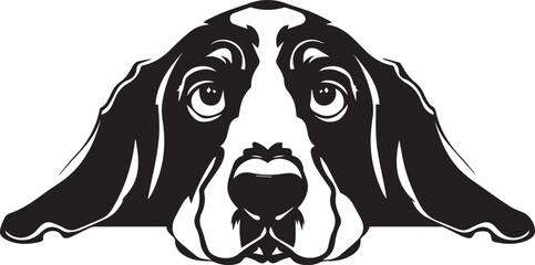 peeking basset hound dog