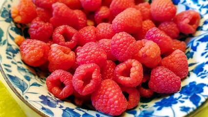 Fresh ripe garden raspberries on a blue and white plate close-up