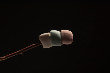 Marshmallow on wooden stick