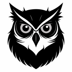 owl vector and illustration