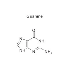 Guanine skeletal structure schematic illustration, Purine nucleobase molecule.