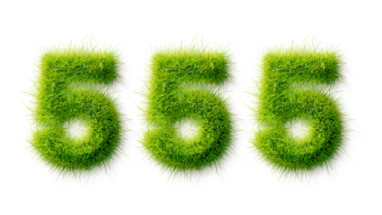 Alphabet letter grass effects, A Number 555 with grass on a transparency background, eco text effect, isolated letter with grass effect high quality