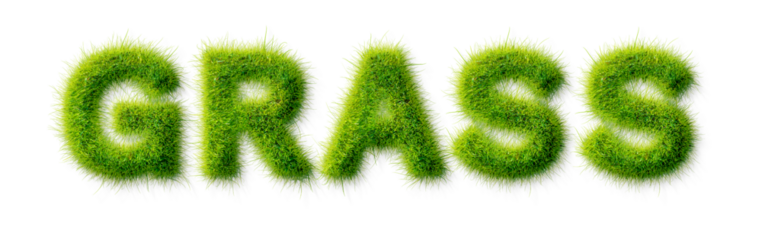 Alphabet letter grass effects, A word green grass on a transparency background, eco text effect, isolated letter with grass effect high quality