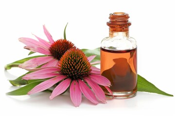 Echinacea for respiratory illnesses Herbal tincture with flowers and leaves Natural remedy