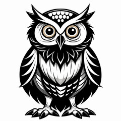 owl vector and illustration