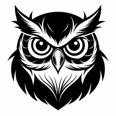 owl vector and illustration