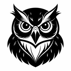 owl vector and illustration