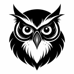 owl vector and illustration