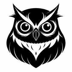 owl vector and illustration