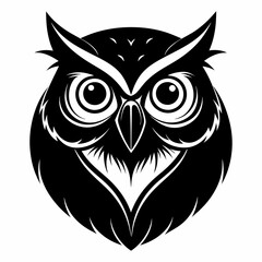 owl vector and illustration