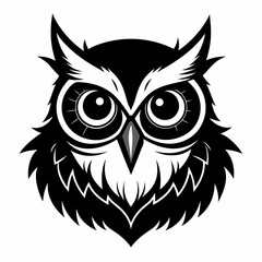 owl vector and illustration