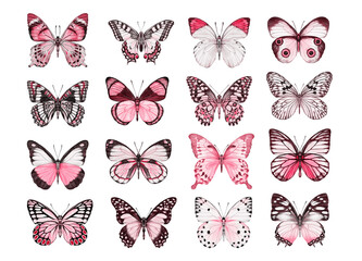 Watercolor colorful butterflies, isolated on white background. blue, yellow, pink and red butterfly spring 