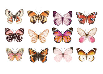 Watercolor colorful butterflies, isolated on white background. blue, yellow, pink and red butterfly spring 