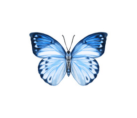 Watercolor colorful butterflies, isolated on white background. blue, yellow, pink and red butterfly spring 
