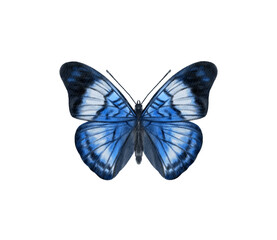 Fototapeta premium Watercolor colorful butterflies, isolated on white background. blue, yellow, pink and red butterfly spring 