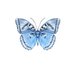 Watercolor colorful butterflies, isolated on white background. blue, yellow, pink and red butterfly spring 