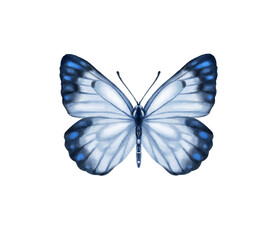 Watercolor colorful butterflies, isolated on white background. blue, yellow, pink and red butterfly spring 