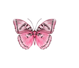 Watercolor colorful butterflies, isolated on white background. blue, yellow, pink and red butterfly spring 