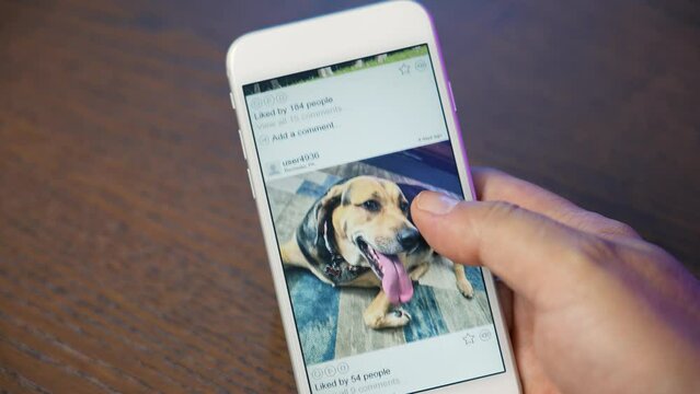 A user scrolls through a social media posts feed. Interface is fictional and photos are released.  	