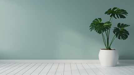 Muted green mint pastel wall colors, white wooden floors, and a Monstera plant pot, simple and refined room.