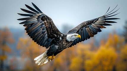 Eagle in flight against a mountain backdrop.