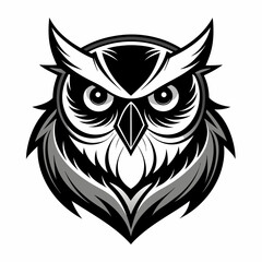 owl vector and illustration
