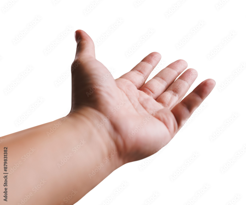 Wall mural a hand is shown with its palm facing up, as if it is about to give something. concept of openness an