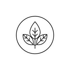 icon leaf, icon, eco, nature, vector, plant, symbol, green, flower, illustration, tree, ecology, design, environment, logo, sign, organic, natural, button, 